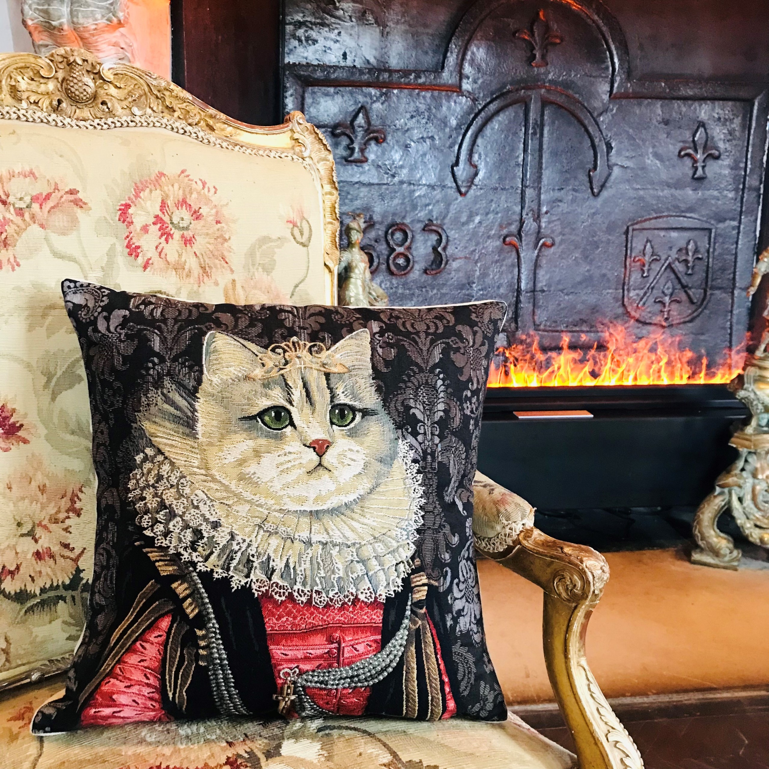 Housse de coussin Chat Roi