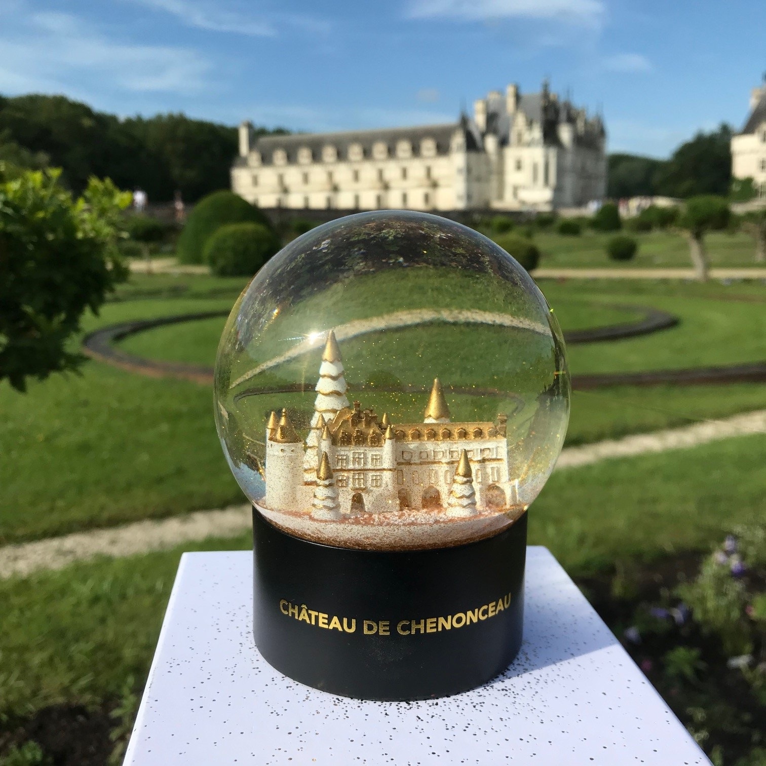 Boule à neige de luxe