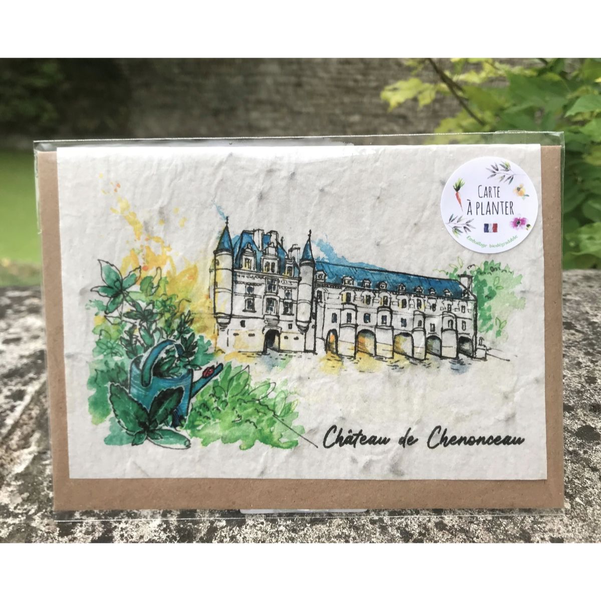 Carte à planter