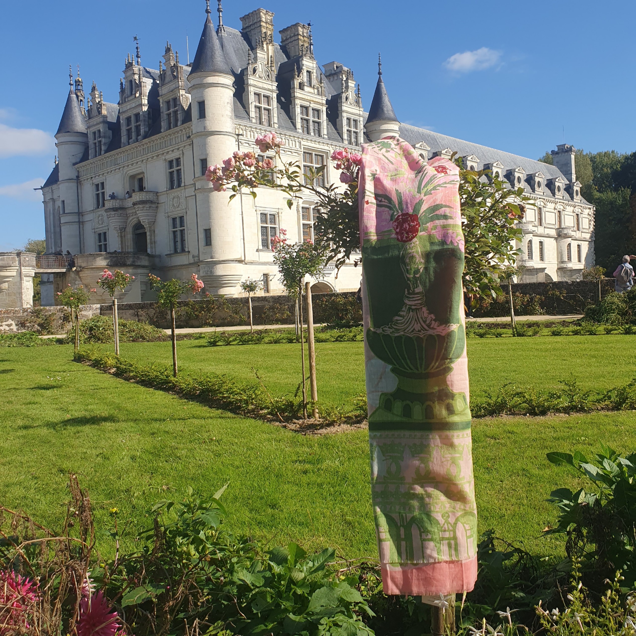 Etole rose Chenonceau